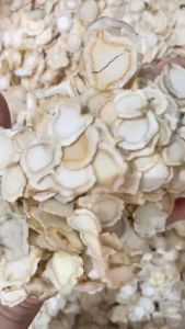 Sâm Tây Dương Thái Lát 100g - Sâm Canada Sâm Hoa Kỳ Dưỡng Huyết Bổ Khí Thanh Nhiệt Bồi Bổ Mọi Lứa Tuổi - Sâm Đế Vương