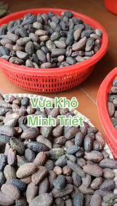 Chuối Hột Rừng Tây Nguyên Tráng Dương Bổ Khí- VỰA KHÔ MINH TRIẾT