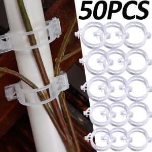 50PCS Plastic Plant Clips Supports Connects Reusable Protection Grafting Fixing Plant Vegetable Tomato Tools Garden Supplies