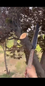 👉อัพเกรดเลื่อยตัด เลื่อยสองทาง👉ขนาดใหญ่สุดSK5 เลื่อยพับแบบพกพา เลื่อยตัดแต่งกิ่งไม้ เลื่อยตัดกิ่งไม้สูง มีดเลื่อยอบ่างดี ( เลี่อยตัดไม้ เลื่อย เลื่อยตัดกิ่ง เลื่อยมือพกพา เลื่อยมือตัดไม้ เลื่อยตัดไผ่ เลื่อยกิ่งไม้ เลื่อยพกพา เลื่อยมือต้นไม่ใหญ่ )