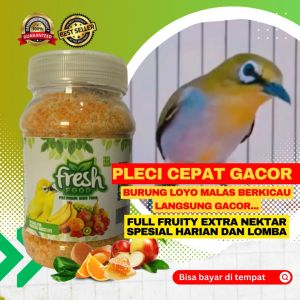 MAKANAN BURUNG CEDE PLECI DENGAN KANDUNGAN BUAH BUAHAN