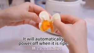 Automatic Egg Cooker Electric Egg Boiler Power Off Household Egg Boiler Maker With 6 Modes Egg Cooker Breakfast Steamer