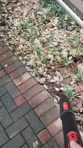 3000W Cordless Leaf Blower High-Power 6 Speed Adjustable Snow Blower Portable Electric Rechargeable Leaf Blower with 1 Battery