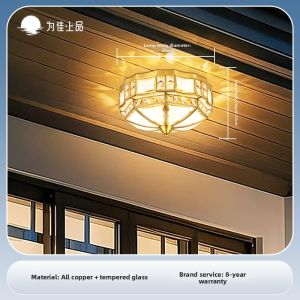 VINCAN | Bronze Entrance Lighting for Hallway Corridor Door and Porch