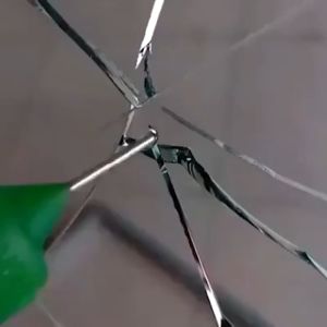 Malaysia Stock Car Glass Nano Repair Fluid Car Glass Crack Repair Tools Kit Auto Glass RepairWindshield repair kit 汽车纳米修复液玻璃裂缝修复工具