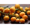 Buah menteng 500 gram buah kapundung buah langsat buah duku condet buah musiman buah langka. 