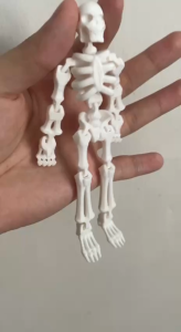 [SG] Flexi/Articulated Skeleton Figure – Poseable Halloween Decoration Toy