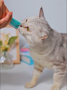 【Buy 10 SHIP 20】Cat Treats Cat Food 15g Cat Snack Cat Wet Food Treats for Cat Strip Pet Food Kitten