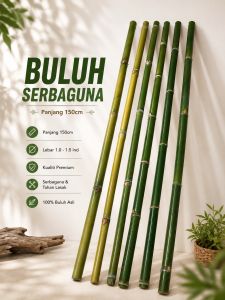 Buluh bulat serbaguna (lebar 1-1.5inci P150cm)