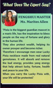 ACPT- Feng Shui PIXIU Red Agate Jade Ritual Lucky Growth Wealth Pendant for Men