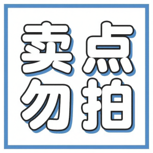 SHENMISHAONIAN | AI Intelligent High-Quality Interactive Doll