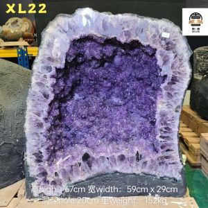 🇲🇾天然紫晶洞 土星wood element 包发爆花晶体占据90%整颗晶洞✨高紫紫晶牙💰👍 A beautiful Extra large Amethyst geode with full of flower shape Crystal in dark purple (如需定制实木底座请私聊小助手) 高high:67cm 宽width:59cm x 29cm 洞深hole:20cm 重weight:152kg