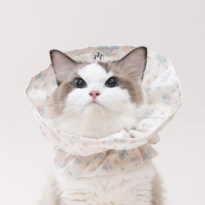 WURENDAO | Adjustable Bite Proof Cat Collar