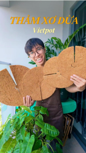 Thảm xơ dừa tròn Vietpot lót mặt chậu chống cỏ phủ mặt giá thể trồng Lan kiểng lá và cây cảnh