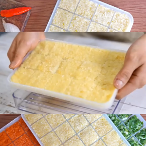 [SG InStock] Silicook Garlic Cube - 食物储存 Refrigerator system fresh