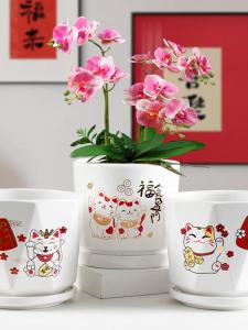 Large Size Ceramic Flower Pot with Base Water Catching Tray Indoor Home Decorative Plant Pots for Succulent Plants And Flowers