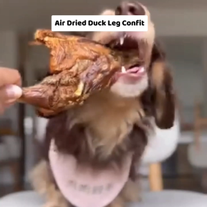 OMAKASE AIR DRIED Chicken Jerky Dog & Cat Single Ingredient Dehydrated Pet Treats