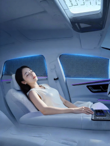 HELLOLEIBOO | Car Sunshade with Mosquito Net and UV Protection