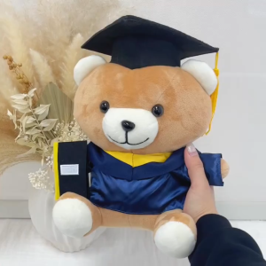 Customised Graduation Bear | Personalised Graduation Gift | Convocation Graduate Gifts