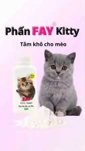 Phấn FAY Kitty - Vệ sinh cho mèo con mèo bệnh - 120g
