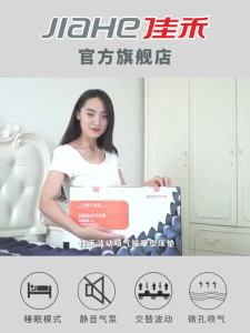 Air Mattress with Air Pump Air Mattress Patient Elderly Care Air Bed Mattress With Pump Nursing Bed for Paralyzed Patients 气垫床
