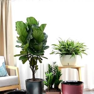 LZD Plastic Flower Pot Large Diameter Self-Absorbent Lazy People Raised Living Room Floor Large Flower Pot Plastic Rental No Watering