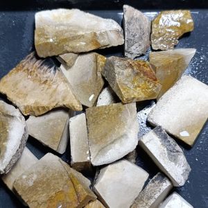 Batu Posil Palm Asem Super / Lempengan Bahan Posil Palm