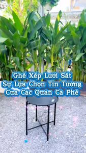 Ghế cà phê Win QUI PHÚC lưng lưới thấp thoáng khí thoải mái gấp gọn tiện lợi dễ sử dụng