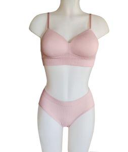 seamless cotton push-up non wire bra and panty set