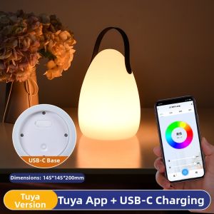 JUYU | Solar Portable Outdoor Garden Light