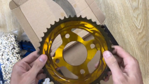 NHÔNG SÊN DĨA WINNER VÀNG