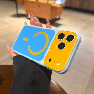 AO.HU | Magnetic Windowed Matte Anti-fingerprint Protective Case