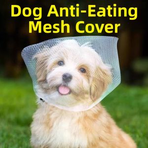 WEVOLA | Anti-bite and Licking Muzzle