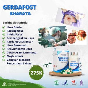 Obat Usus Buntu Radang Usus GERD Magh Kronis Radang Pencernaan Herbal Gerdafost Bharata 100% Asli