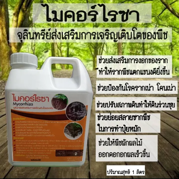 ไมคอร์ไรซา ชนิดน้ำ เร่งราก โตไว ป้องกันโรครากเน่า