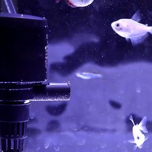 JINGYE 3 IN 1 SUBMERSIBLE WATER PUMP FOR AQUARIUM