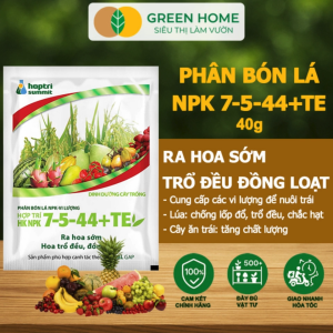 Bộ 5 Gói Phân Bón Lá Hợp Trí HK NPK 7-5-44+TE GreenHome Gói 40gr Kích Thích Ra Hoa Đồng Loạt Tăng Đậu Trái
