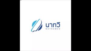 เครื่องคัดแยกหินกรวด ออกจากข้าวสาร รุ่น TS-80 (Destoner MODEL : TS-80)