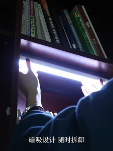 [SG] 20/30cm LED Motion Sensor Night Light USB Rechargeable Closet Kitchen Cabinet Wardrobe Bedroom Lighting Warm White