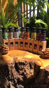 Tinh dầu thiên nhiên Nhà cô ba nguyên chất xông phòng nhiều mùi 10ml