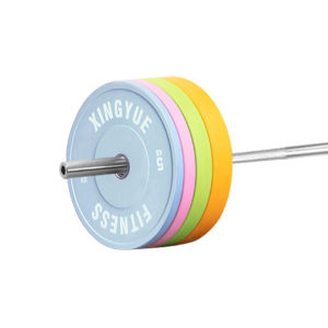 XINGYUE | Home Gym Weightlifting Discs Squat Suitable