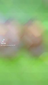 Dép vip dép Nam ÔNG trong  đi trong nhà tắm văn phòng nhà vệ sinh chống trơn trượt - hàng loại 1 mẫu mới hót hiện nay cở to