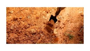 MITI4 พร้อมส่ง เสียมขุดดิน ที่ขุดดิน ขนาดเล็ก เสียมมือขุดดิน ปลูกต้นไม้ พรวนดิน แข็งแรง ทนทาน อุปกรณ์ทำสวน COD MITI225