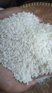 [RUMAH TANI] Beras Organik Menthik Susu 2 Kg MPASI Asli 100% Kualitas Bagus