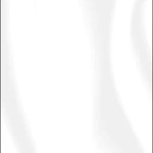 NEW LIFE 3 BAND PREMIUM CORSET