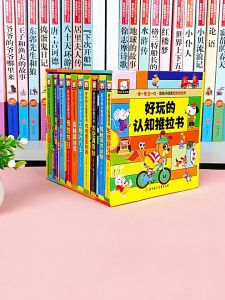 【10 Themes】Chinese early cognitive learning books Push & Pull hard boardbook. Children interactive activity book Preschool Education. HEYBABE.