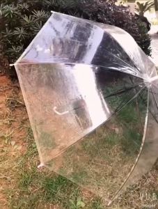 Payung PVC 8 Bone 94cm: Desain Modern & Tahan Air