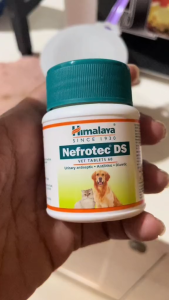 60 Tablets Himalaya Nefrotec DS Tablet Herbal Kidney Support Supplement All Stages Adult Kitten Puppy Pet Essentials