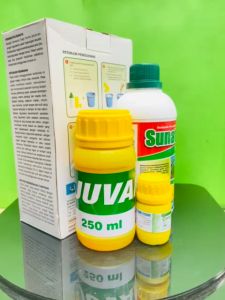 PAKET CONVEY Herbisida Sistemik Selektif Jagung ISI 500ml