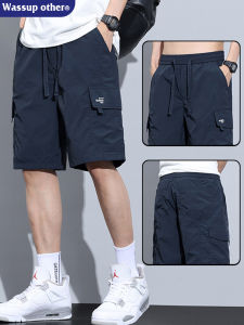 Work Style Mens Summer Thin Icesilk Quick-dry Leisure Shorts